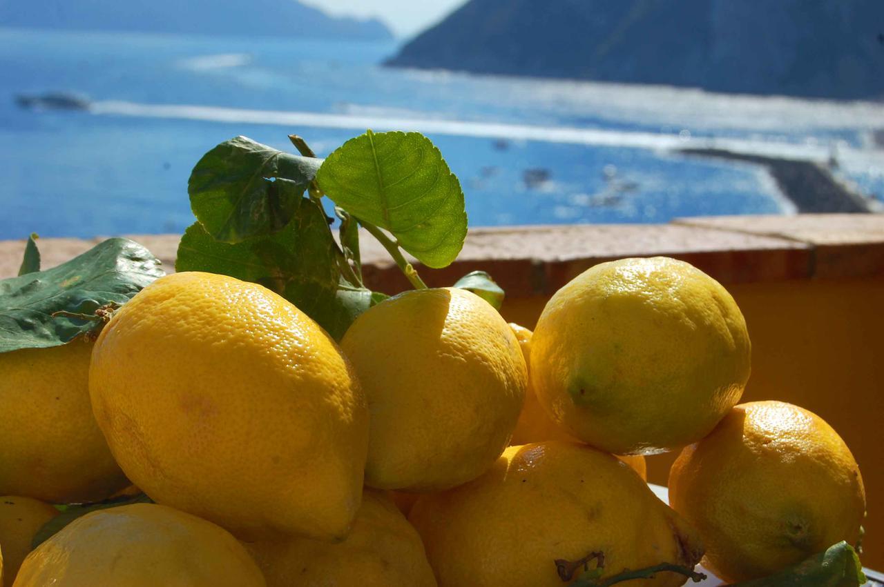 La Terrazza Sul Mare Bed and Breakfast Capri Buitenkant foto