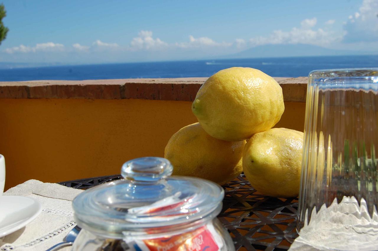 La Terrazza Sul Mare Bed and Breakfast Capri Buitenkant foto