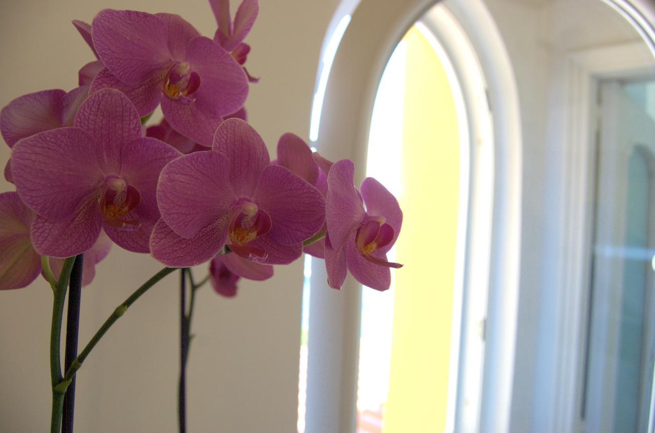 La Terrazza Sul Mare Bed and Breakfast Capri Buitenkant foto