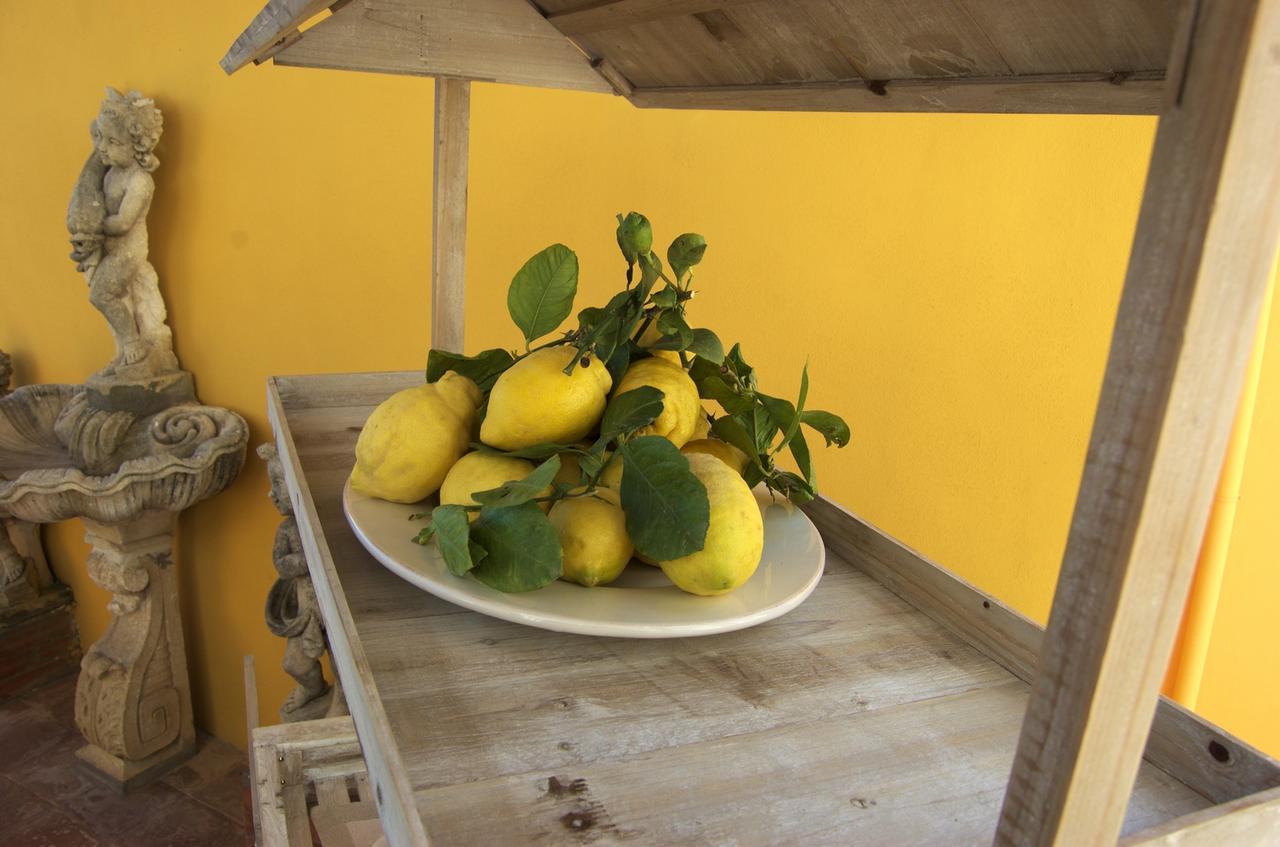 La Terrazza Sul Mare Bed and Breakfast Capri Buitenkant foto
